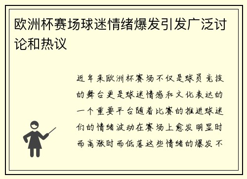 欧洲杯赛场球迷情绪爆发引发广泛讨论和热议